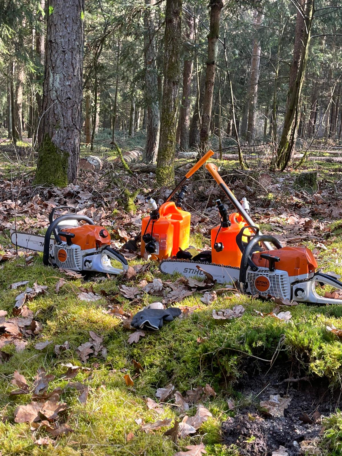 Brennholzverkauf HB - Professionelle Holzaufbereitung im Einsatz