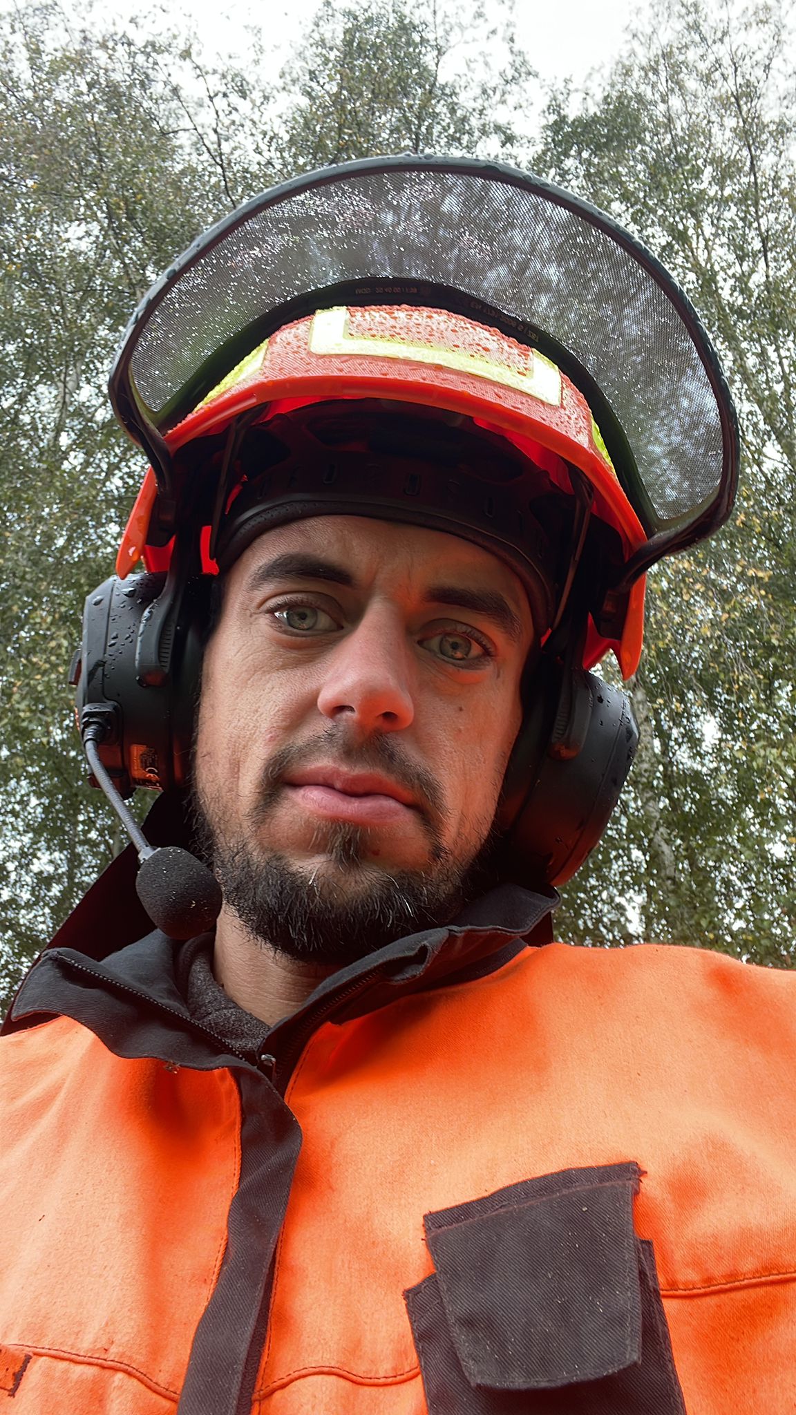 Dominik Brunner - Brennholzverkauf HB